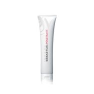 Máscara Sebastian Professional Penetraitt 150ml