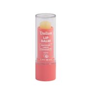 Lip Balm Dailus FPS8 Coco