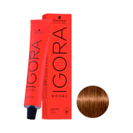 Coloração Igora Royal 6.5 Louro Escuro Dourado