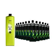 Kit 12 Colorações Professionnel Inoa 6.0 + Água Oxigenada LOréal 20 Volumes 1L