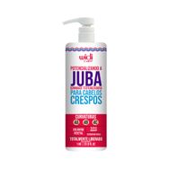 Finalizador Widi Care Potencializando a Juba Gommage Texturizadora 1kg