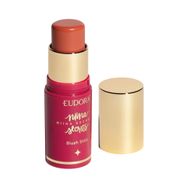 Blush em Stick Niina Secrets Daily Coral
