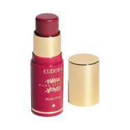 Blush em Stick Niina Secrets Daily Rosa