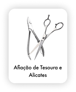 Assistência Técnica - Produto 5